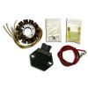 Stator si releu incarcare KTM 2T 08-15 HPI