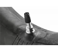 Valve Stems