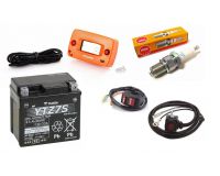Electrice