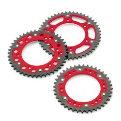 Pinion otel aluminiu GASGAS 250/450 21-24