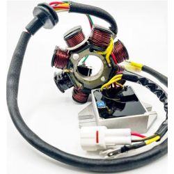 Stator KTM EXC 250/300 08-16 / Husq TE 250/300 14-16 Ricks Motorsport