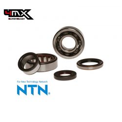 Kit rulmenti ambielaj KTM 2T 250/300 04-25 NTN