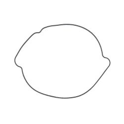 Garnitura capac ambreiaj KTM EXC 400/450/530 09-11 XRadical