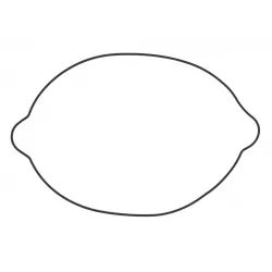 Garnitura capac ambreiaj KTM 250/300 04-16 Vertex