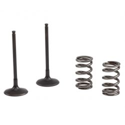 Kit supape admisie si arcuri otel KTM 250 EXC-F 14-16 Prox
