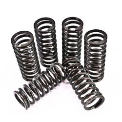 Kit arcuri ambreiaj KTM 450/525 EXC 00-07 Prox