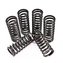 Kit arcuri ambreiaj KTM 450/525 EXC 00-07 Prox