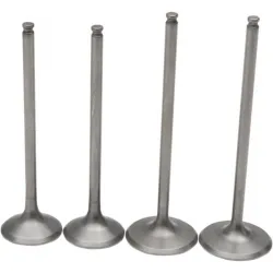 Kit supape Moose Racing Pro titan KTM SX-F/XC-F 250 13-16