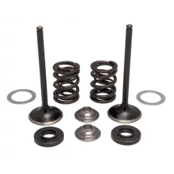 Kit supape admisie si arcuri Kibblewhite otel inoxidabil KTM RC4 250 08-11