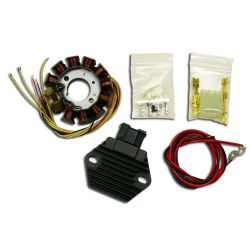 Stator si releu incarcare KTM 2T 08-15 HPI