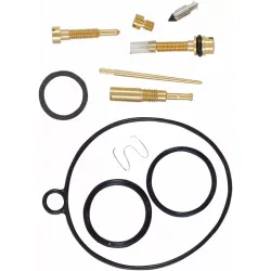 Carburetor Repair Kit