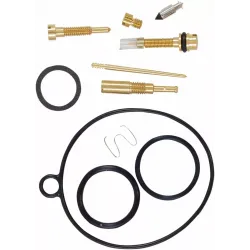 Carburetor Repair Kit