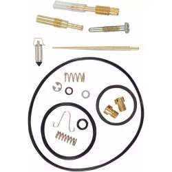 Carburetor Repair Kit
