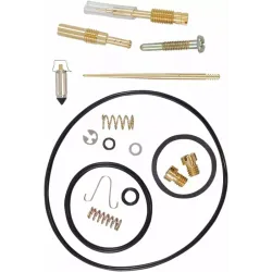 Carburetor Repair Kit