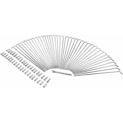 Chrome and Stainless Steel Spoke Set