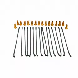 Spoke And Nipple Replacement Kit