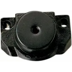 Watercraft Engine Mount