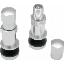 Bolt-In Valve Stem