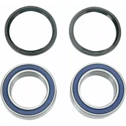 Rear Wheel Bearing Upgrade Kit