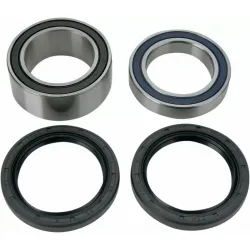Rear Wheel Bearing Upgrade Kit