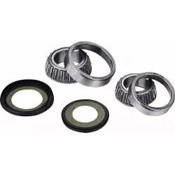 Steering Stem Bearing Kit