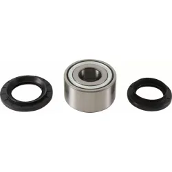 Tapered Double Angular Contact Wheel Bearing Kit