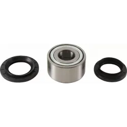 Tapered Double Angular Contact Wheel Bearing Kit