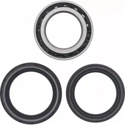 Tapered Double Angular Contact Wheel Bearing Kit