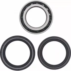 Tapered Double Angular Contact Wheel Bearing Kit