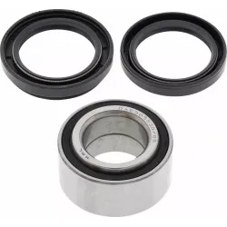 Tapered Double Angular Contact Wheel Bearing Kit