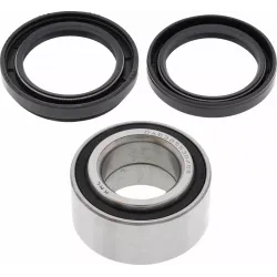 Tapered Double Angular Contact Wheel Bearing Kit