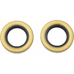 Wheel Bearing Seal for Star Hub