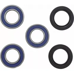 Wheel Bearing and Seal Kit for Talon Hubs