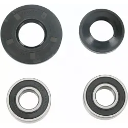 Wheel Bearing and Seal Kit