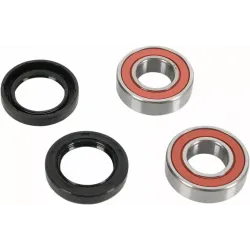 Wheel Bearing and Seal Kit