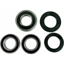Wheel Bearing and Seal Kit
