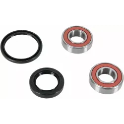 Wheel Bearing and Seal Kit
