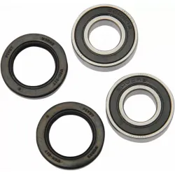 Wheel Bearing and Seal Kit