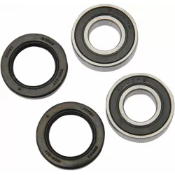 Wheel Bearing and Seal Kit