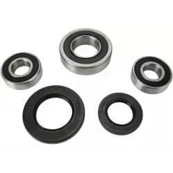 Wheel Bearing and Seal Kit