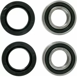 Wheel Bearing and Seal Kit