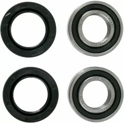 Wheel Bearing and Seal Kit