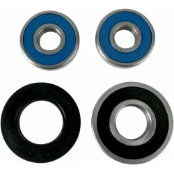 Wheel Bearing and Seal Kit