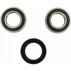Wheel Bearing and Seal Kit