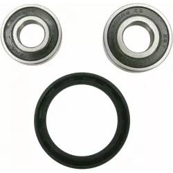 Wheel Bearing and Seal Kit