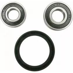 Wheel Bearing and Seal Kit