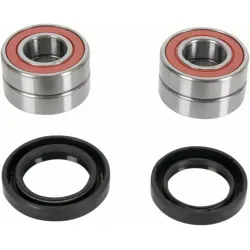 Wheel Bearing and Seal Kit