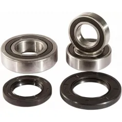 Wheel Bearing and Seal Kit