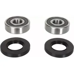 Wheel Bearing and Seal Kit
