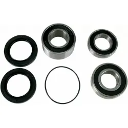 Wheel Bearing and Seal Kit